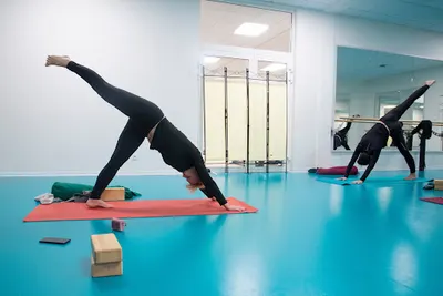 Joga Joanna Zdrodowska